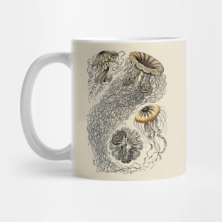 Ernst Haeckel  Jellyfish Sepia Mug